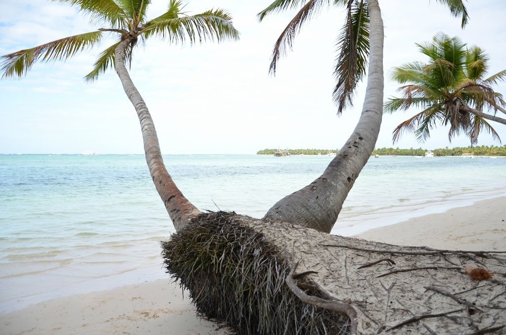 Доминиканская Республика HI3/N3SY DX Новости Доминиканская Республика HI3/N3SY DX Новости