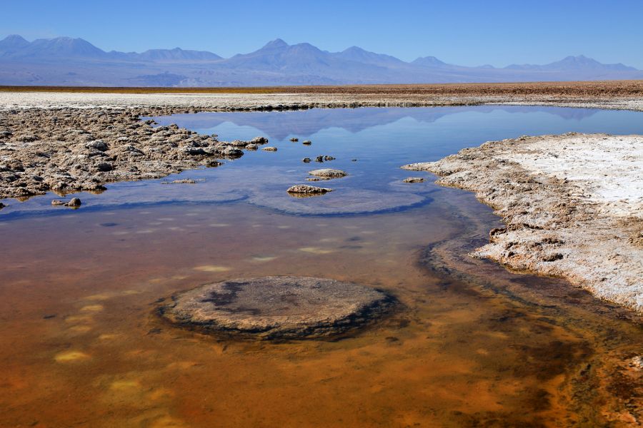 Easter Island CE0Y/JA3ARJ CE0Y/JA3HJI CE0Y/JA3IVU CE0Y/JH3LSS CE0Y/JI3DNN CE0Y/JA3AVO CE0Y/JH3PBL Easter Island CE0Y/JA3ARJ CE0Y/JA3HJI CE0Y/JA3IVU CE0Y/JH3LSS CE0Y/JI3DNN CE0Y/JA3AVO CE0Y/JH3PBL