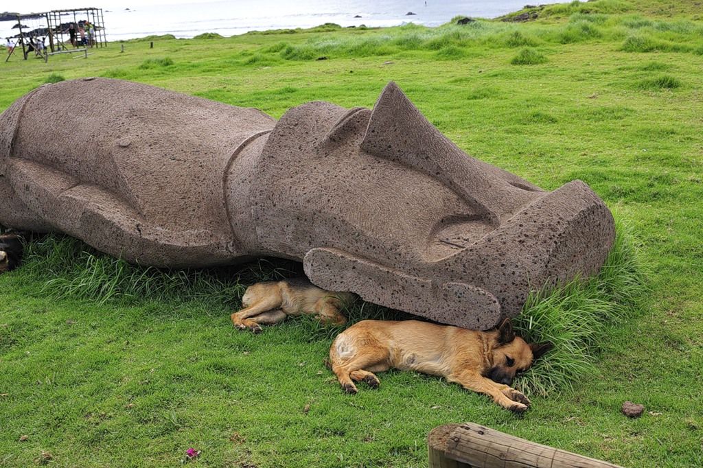 Easter Island Rapanui CE0Y/UA4WHX  Easter Island Rapanui CE0Y/UA4WHX