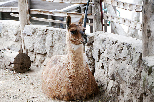 Эквадор DX Новости KF6ZWD/HC2  Эквадор DX Новости KF6ZWD/HC2