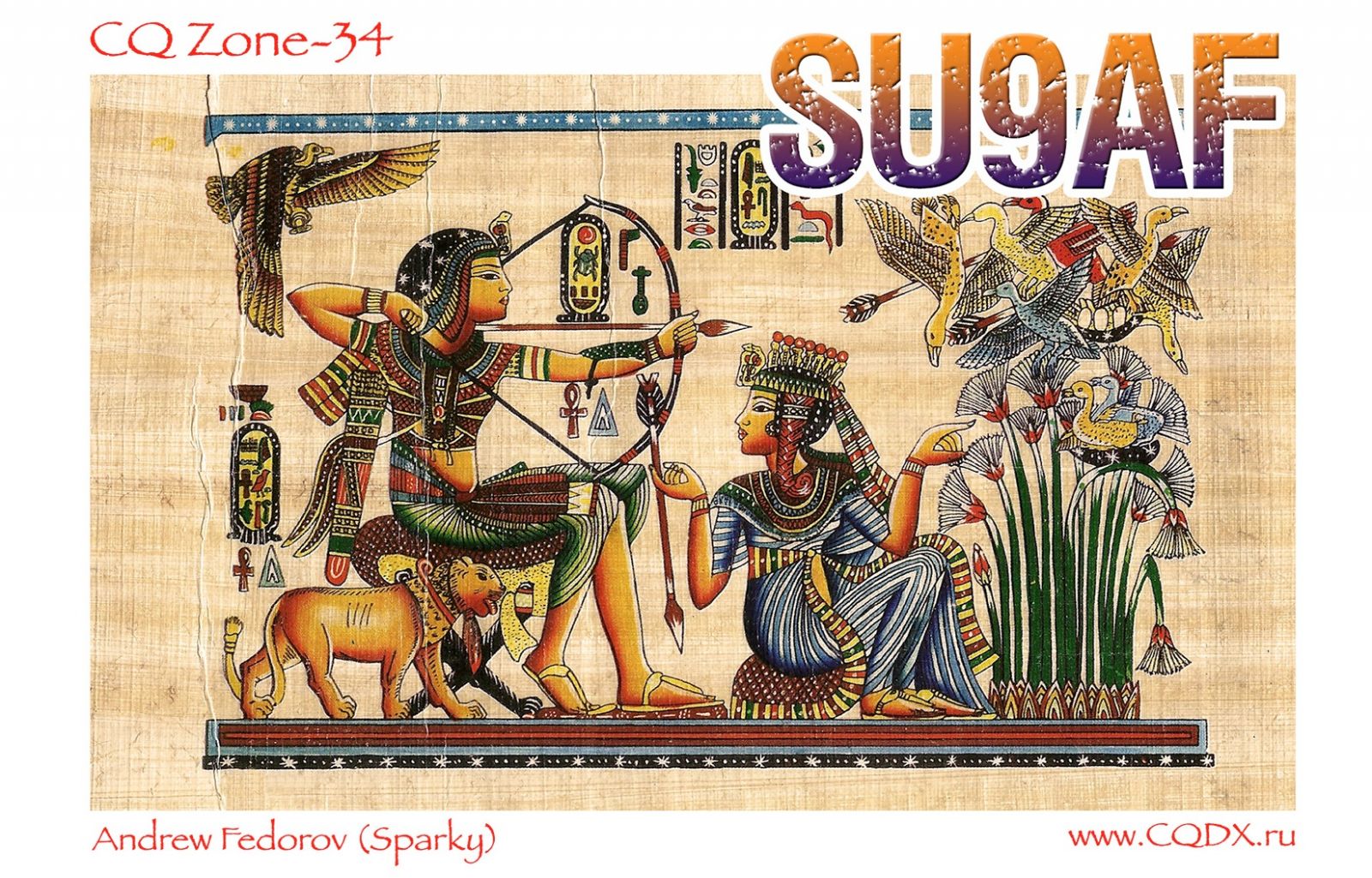 Egypt SU9AF QSL  Egypt SU9AF QSL