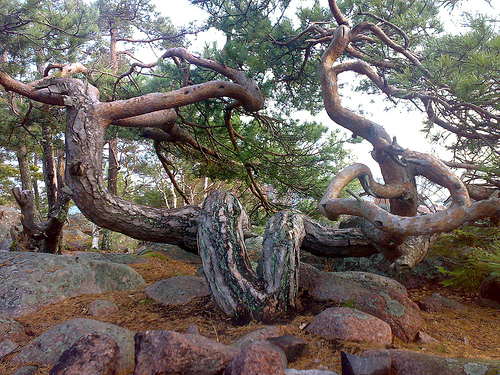 Остров Эмсалё OH/G4FSU Остров Эмсалё OH/G4FSU