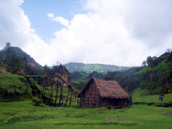  ET3AA UW7LL UY5LW DX 