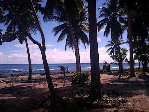 Falalop Island Ulithu Atoll Federal States of Micronesia V63PR DX News Falalop Island Ulithu Atoll Federal States of Micronesia V63PR DX News