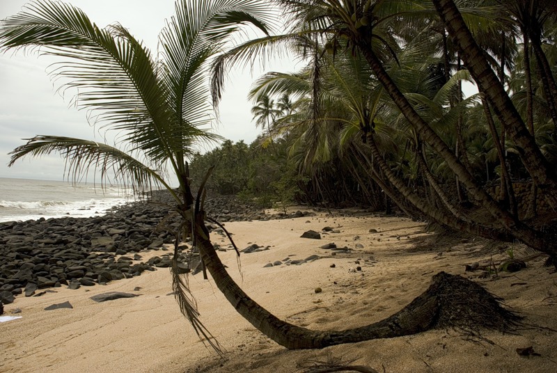 French Guiana FY/F5UII FY/F5UII/P DX News