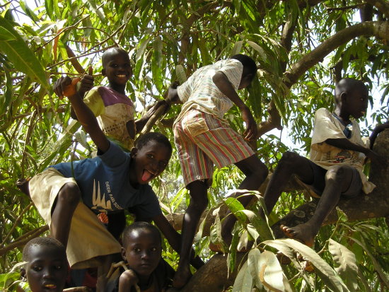 Gambia C5YK Gambia C5YK