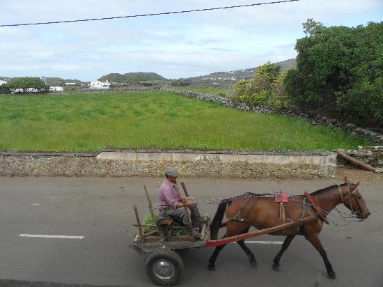 Graciosa Island CT8/DL2UX DX News Graciosa Island CT8/DL2UX DX News