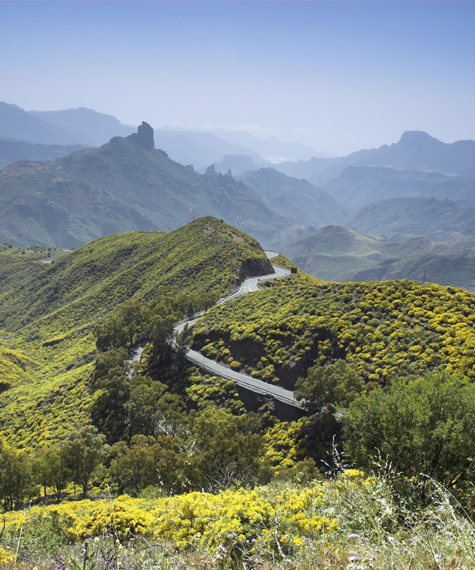 Gran Canaria Island EF8M