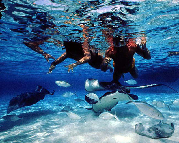 Grand Cayman Island Cayman Islands ZF2TK Grand Cayman Island Cayman Islands ZF2TK