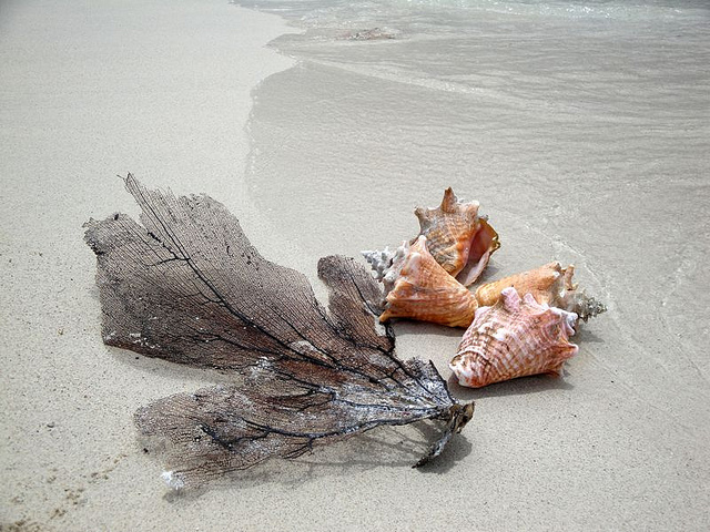 Остров Гренада J34G DX Новости Остров Гренада J34G DX Новости