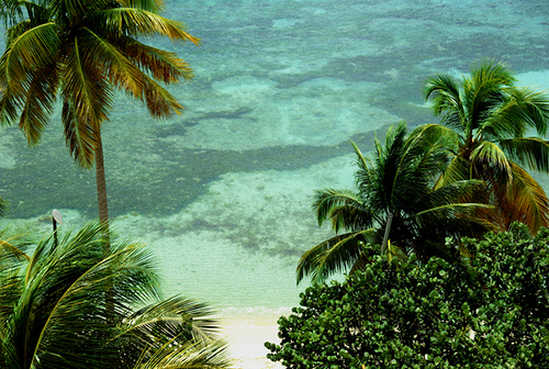 Гваделупа FG4NN Гваделупа FG4NN