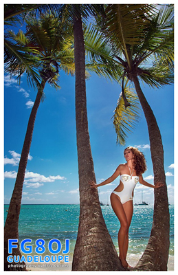 Guadeloupe Island TO0MT FG8OJ Guadeloupe Island TO0MT FG8OJ