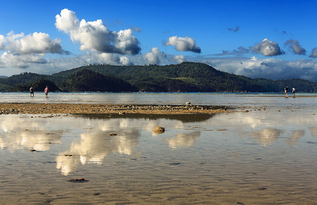 Остров Гамильтон Австралия JA1NLX/VK4 DX Новости Туристические Достопримечательности Остров Гамильтон Австралия JA1NLX/VK4 DX Новости Туристические Достопримечательности