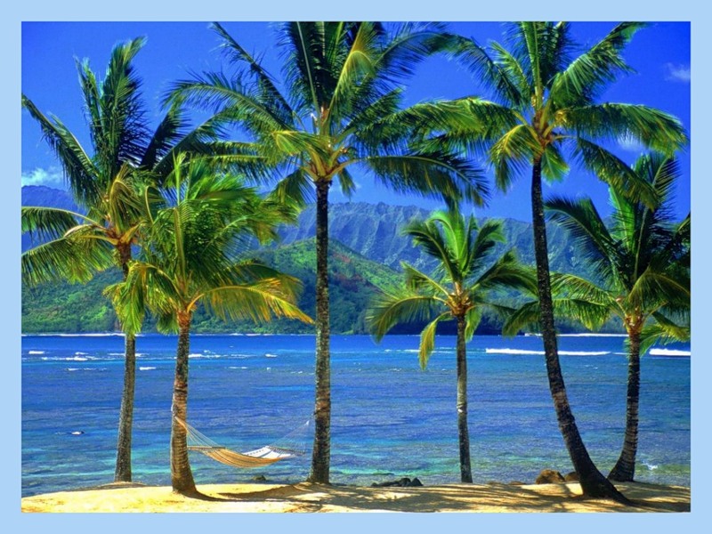 Гавайские Острова NH7A N6TJ  Гавайские Острова NH7A N6TJ