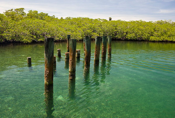 Гондурас HR5/N2WB DX Новости Гондурас HR5/N2WB DX Новости