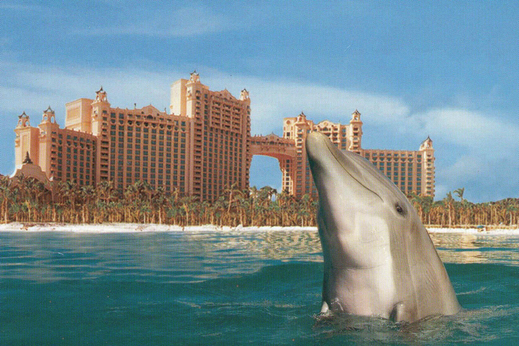 Atlantis Hotel Paradise Island Bahamas News