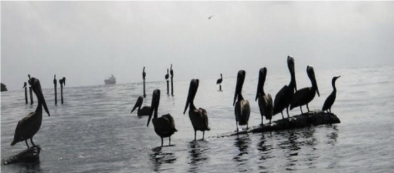 Isla la Playita YW5YL DX News Isla la Playita YW5YL DX News