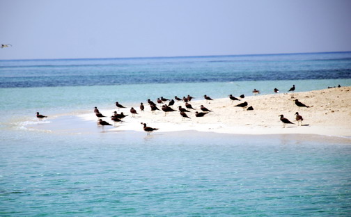 Jabal Al Lith Island 7Z7AA Jabal Al Lith Island 7Z7AA