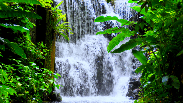 Ямайка 6Y3W 6Y/UT5UDX DX Новости Ямайка 6Y3W 6Y/UT5UDX DX Новости