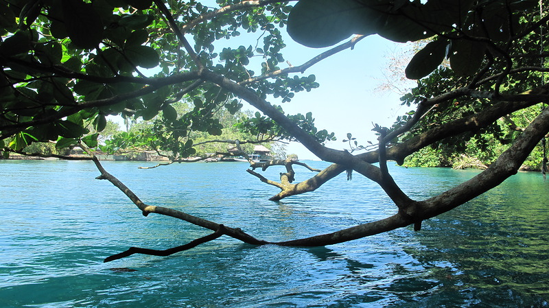 Ямайка 6Y5/G3SWH  Ямайка 6Y5/G3SWH