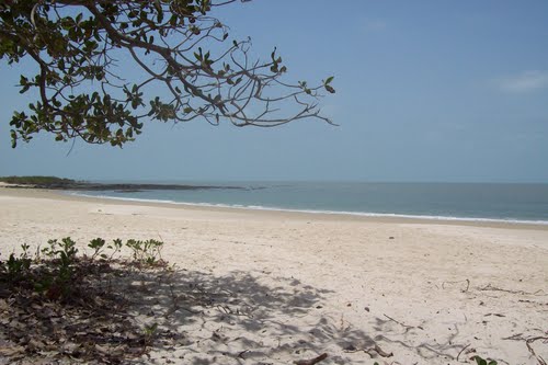 Jeta Island Guinea Bissau J5NAR/P