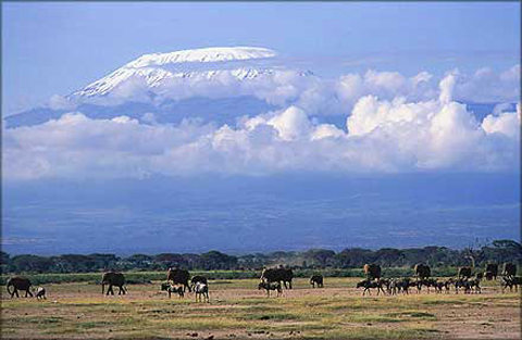 Kenya 5Z4/IZ4AKS Kilimandjaro Kenya 5Z4/IZ4AKS Kilimandjaro