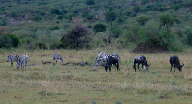 Kenya 5Z4EE Kenya 5Z4EE