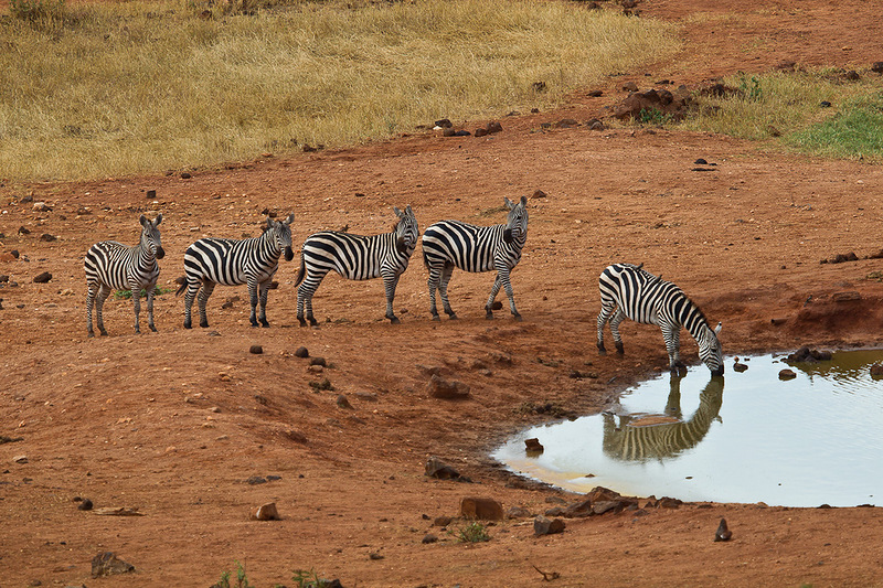 Kenya 5Z4EE CQ WW RTTY Contest 2012 Kenya 5Z4EE CQ WW RTTY Contest 2012