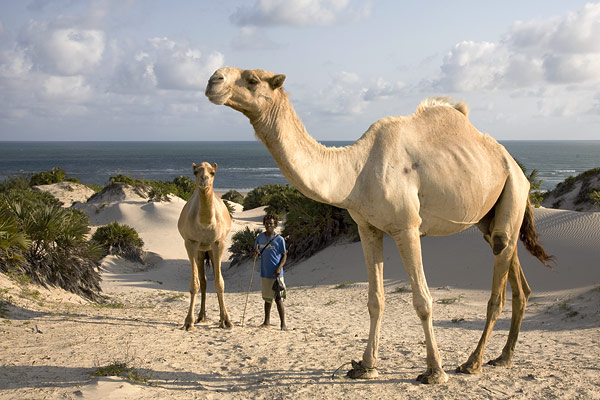 Lamu Island 5Z4/IZ7ATN/P