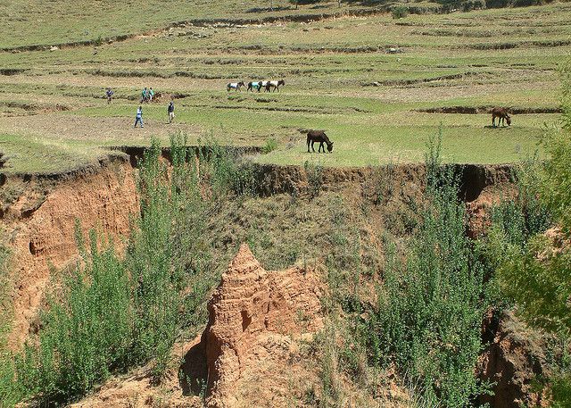 Lesotho 7P8ID DX News Lesotho 7P8ID DX News