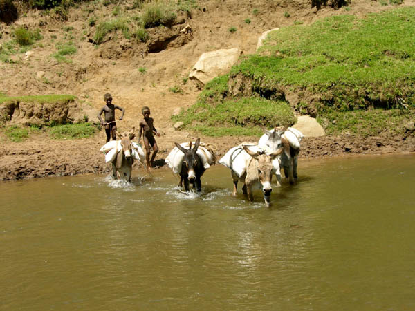 Lesotho 7P8JA Lesotho 7P8JA