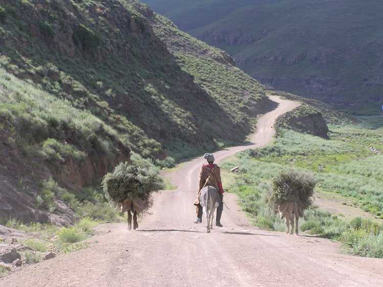 Лесото 7P8JK DX Новости 2011 Лесото 7P8JK DX Новости 2011