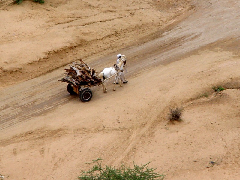 Либерия EL2ES Либерия EL2ES