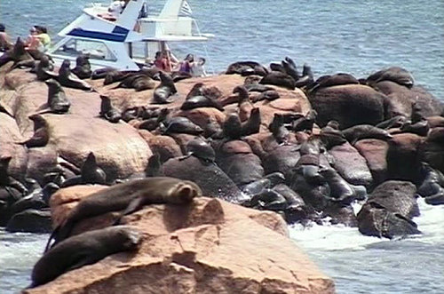 Остров Лобос DX Новости XF2P Остров Лобос DX Новости XF2P