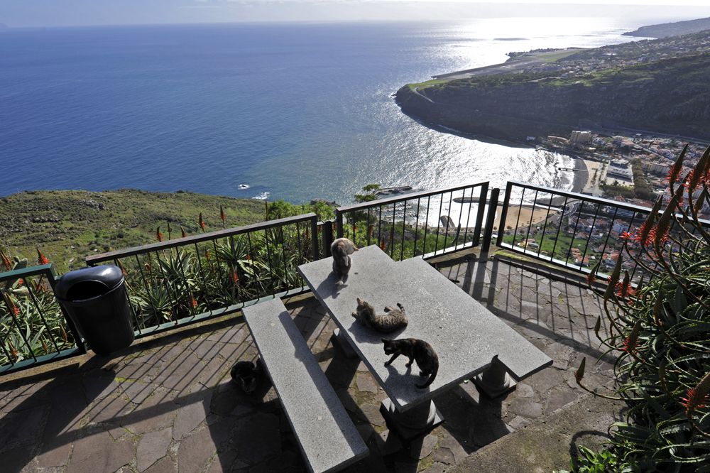 Madeira Airport Machino Madeira Airport Machino