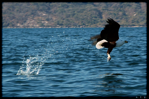 Malawi 7Q7CE Malawi 7Q7CE