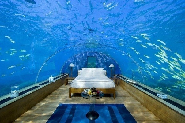 Maldive Islands Underwater Room Underwater Hotel 8Q7OE Maldive Islands Underwater Room Underwater Hotel 8Q7OE