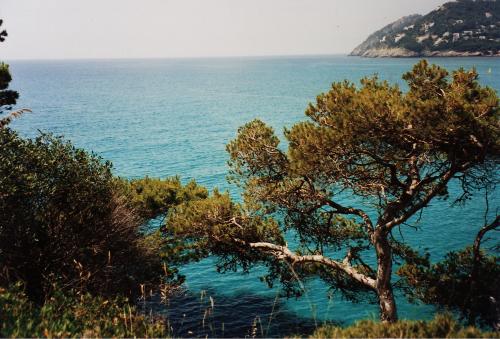 Mallorca Island EA6/SP5OXJ