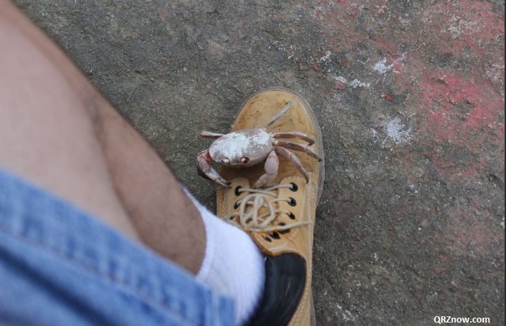 Malpelo Island HK0NA 12