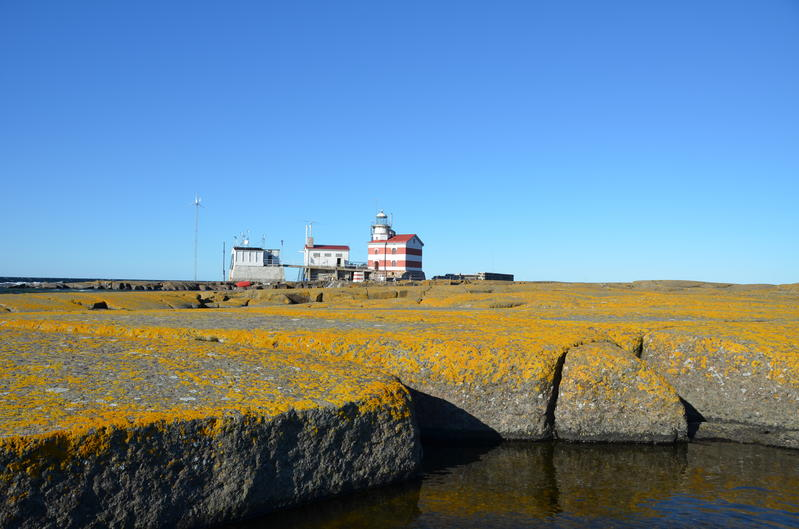 Маркет Риф OJ0V DX Новости Маркет Риф OJ0V DX Новости