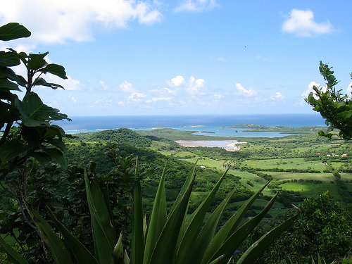 Мартиника TO5X FM/R5GA Мартиника TO5X FM/R5GA