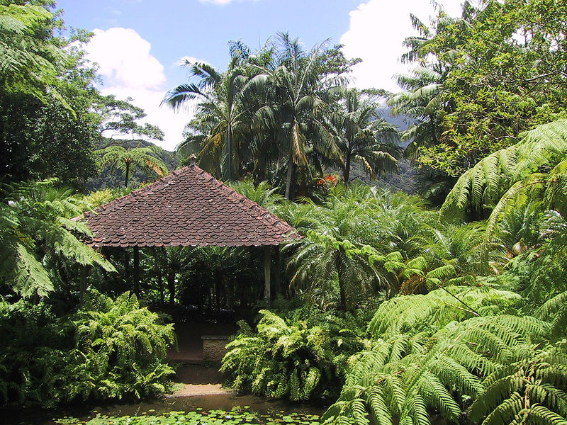 Martinique Island TO9R FM/S53R DX News Tourist Attractions Martinique Island TO9R FM/S53R DX News Tourist Attractions