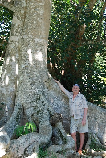 Маврикий 3B8/SP2JMB Маврикий 3B8/SP2JMB