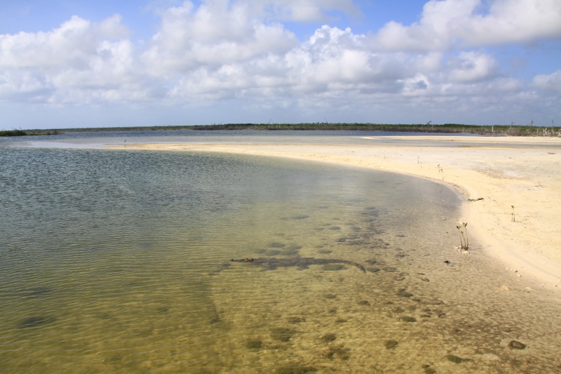 Mexico DX News N6KZB/XE2