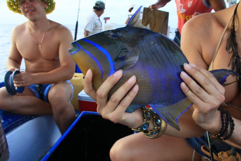 Мексика N6KZB/XE2 Мексика N6KZB/XE2