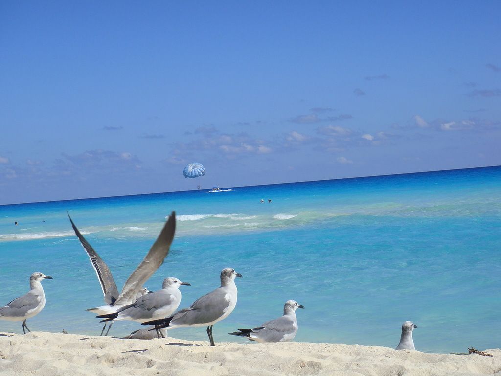 Мексика XE3/NA9M DX Новости Мексика XE3/NA9M DX Новости