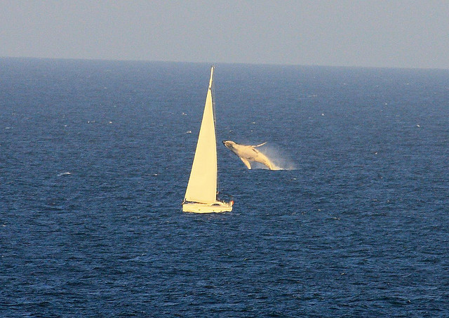 Остров Моретон VK4ILH Остров Моретон VK4ILH