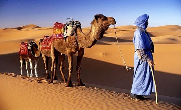 Morocco 5G12ITD Morocco 5G12ITD