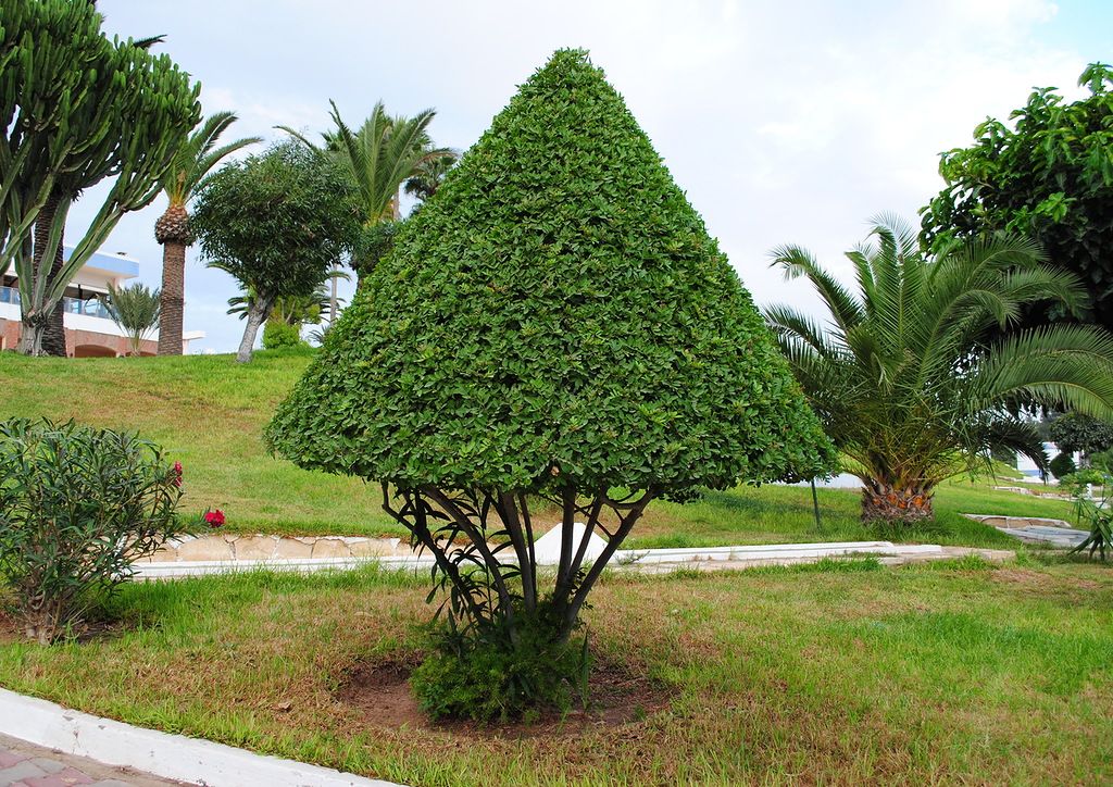 Марокко CN2BGB Марокко CN2BGB