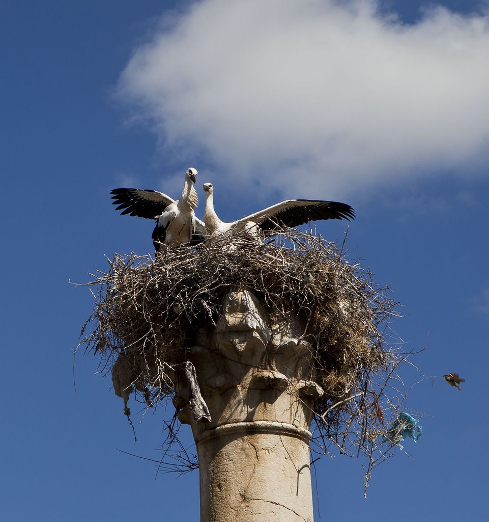 Марокко CN2BGB DX Новости Марокко CN2BGB DX Новости